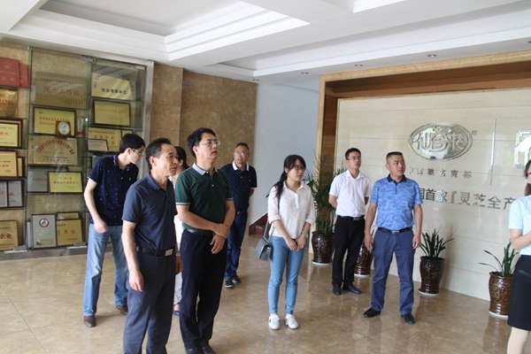 杭州亞運(yùn)會(huì)官方靈芝產(chǎn)品供應(yīng)商|杭州亞運(yùn)會(huì)官方供應(yīng)商|中國(guó)靈芝十大品牌|仙客來(lái)靈芝|仙客來(lái)靈芝破壁孢子粉|仙客來(lái)孢子油|仙客來(lái)靈芝飲片|仙客來(lái)破壁孢子粉|靈芝孢子油|孢子粉|靈芝破壁孢子粉|靈芝|中華老字號(hào) 杭州亞運(yùn)會(huì)官方靈芝產(chǎn)品供應(yīng)商|杭州亞運(yùn)會(huì)官方供應(yīng)商|中國(guó)靈芝十大品牌|仙客來(lái)靈芝|仙客來(lái)靈芝破壁孢子粉|仙客來(lái)孢子油|仙客來(lái)靈芝飲片|仙客來(lái)破壁孢子粉|靈芝孢子油|孢子粉|靈芝破壁孢子粉|靈芝|中華老字號(hào)