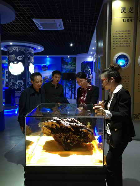 杭州亞運會官方靈芝產(chǎn)品供應商|杭州亞運會官方供應商|中國靈芝十大品牌|仙客來靈芝|仙客來靈芝破壁孢子粉|仙客來孢子油|仙客來靈芝飲片|仙客來破壁孢子粉|靈芝孢子油|孢子粉|靈芝破壁孢子粉|靈芝|中華老字號 杭州亞運會官方靈芝產(chǎn)品供應商|杭州亞運會官方供應商|中國靈芝十大品牌|仙客來靈芝|仙客來靈芝破壁孢子粉|仙客來孢子油|仙客來靈芝飲片|仙客來破壁孢子粉|靈芝孢子油|孢子粉|靈芝破壁孢子粉|靈芝|中華老字號