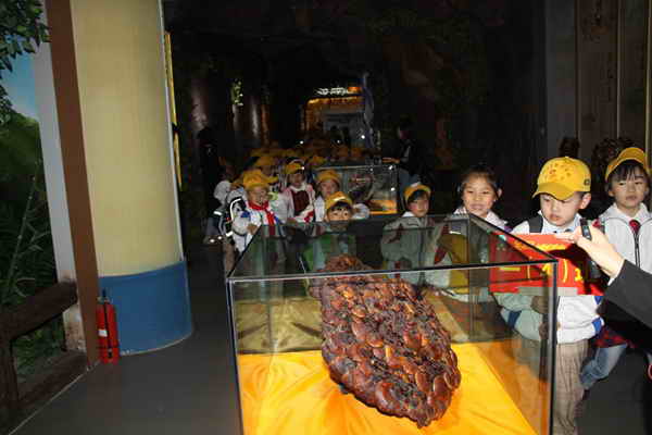 杭州亞運會官方靈芝產(chǎn)品供應(yīng)商|杭州亞運會官方供應(yīng)商|中國靈芝十大品牌|仙客來靈芝|仙客來靈芝破壁孢子粉|仙客來孢子油|仙客來靈芝飲片|仙客來破壁孢子粉|靈芝孢子油|孢子粉|靈芝破壁孢子粉|靈芝|中華老字號 杭州亞運會官方靈芝產(chǎn)品供應(yīng)商|杭州亞運會官方供應(yīng)商|中國靈芝十大品牌|仙客來靈芝|仙客來靈芝破壁孢子粉|仙客來孢子油|仙客來靈芝飲片|仙客來破壁孢子粉|靈芝孢子油|孢子粉|靈芝破壁孢子粉|靈芝|中華老字號