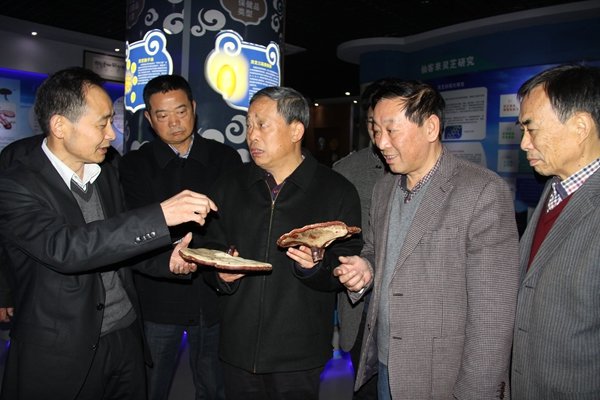 杭州亞運會官方靈芝產(chǎn)品供應(yīng)商|杭州亞運會官方供應(yīng)商|中國靈芝十大品牌|仙客來靈芝|仙客來靈芝破壁孢子粉|仙客來孢子油|仙客來靈芝飲片|仙客來破壁孢子粉|靈芝孢子油|孢子粉|靈芝破壁孢子粉|靈芝|中華老字號 杭州亞運會官方靈芝產(chǎn)品供應(yīng)商|杭州亞運會官方供應(yīng)商|中國靈芝十大品牌|仙客來靈芝|仙客來靈芝破壁孢子粉|仙客來孢子油|仙客來靈芝飲片|仙客來破壁孢子粉|靈芝孢子油|孢子粉|靈芝破壁孢子粉|靈芝|中華老字號