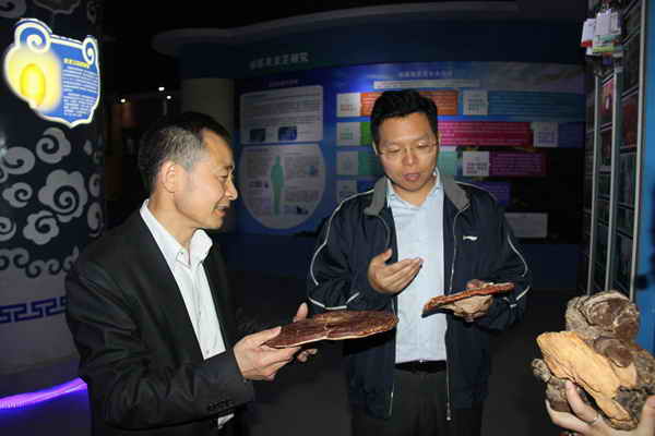 杭州亞運(yùn)會(huì)官方靈芝產(chǎn)品供應(yīng)商|杭州亞運(yùn)會(huì)官方供應(yīng)商|中國(guó)靈芝十大品牌|仙客來(lái)靈芝|仙客來(lái)靈芝破壁孢子粉|仙客來(lái)孢子油|仙客來(lái)靈芝飲片|仙客來(lái)破壁孢子粉|靈芝孢子油|孢子粉|靈芝破壁孢子粉|靈芝|中華老字號(hào) 杭州亞運(yùn)會(huì)官方靈芝產(chǎn)品供應(yīng)商|杭州亞運(yùn)會(huì)官方供應(yīng)商|中國(guó)靈芝十大品牌|仙客來(lái)靈芝|仙客來(lái)靈芝破壁孢子粉|仙客來(lái)孢子油|仙客來(lái)靈芝飲片|仙客來(lái)破壁孢子粉|靈芝孢子油|孢子粉|靈芝破壁孢子粉|靈芝|中華老字號(hào)