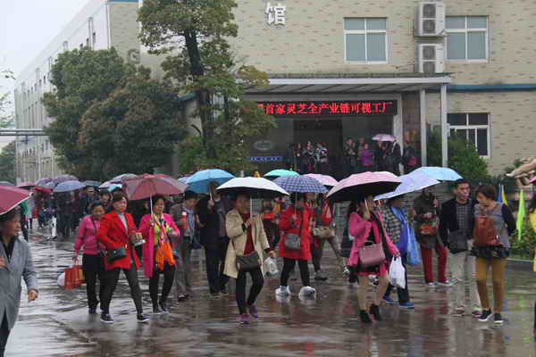 杭州亞運(yùn)會官方靈芝產(chǎn)品供應(yīng)商|杭州亞運(yùn)會官方供應(yīng)商|中國靈芝十大品牌|仙客來靈芝|仙客來靈芝破壁孢子粉|仙客來孢子油|仙客來靈芝飲片|仙客來破壁孢子粉|靈芝孢子油|孢子粉|靈芝破壁孢子粉|靈芝|中華老字號 杭州亞運(yùn)會官方靈芝產(chǎn)品供應(yīng)商|杭州亞運(yùn)會官方供應(yīng)商|中國靈芝十大品牌|仙客來靈芝|仙客來靈芝破壁孢子粉|仙客來孢子油|仙客來靈芝飲片|仙客來破壁孢子粉|靈芝孢子油|孢子粉|靈芝破壁孢子粉|靈芝|中華老字號