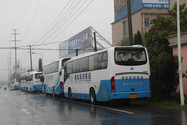 杭州亞運(yùn)會官方靈芝產(chǎn)品供應(yīng)商|杭州亞運(yùn)會官方供應(yīng)商|中國靈芝十大品牌|仙客來靈芝|仙客來靈芝破壁孢子粉|仙客來孢子油|仙客來靈芝飲片|仙客來破壁孢子粉|靈芝孢子油|孢子粉|靈芝破壁孢子粉|靈芝|中華老字號 杭州亞運(yùn)會官方靈芝產(chǎn)品供應(yīng)商|杭州亞運(yùn)會官方供應(yīng)商|中國靈芝十大品牌|仙客來靈芝|仙客來靈芝破壁孢子粉|仙客來孢子油|仙客來靈芝飲片|仙客來破壁孢子粉|靈芝孢子油|孢子粉|靈芝破壁孢子粉|靈芝|中華老字號