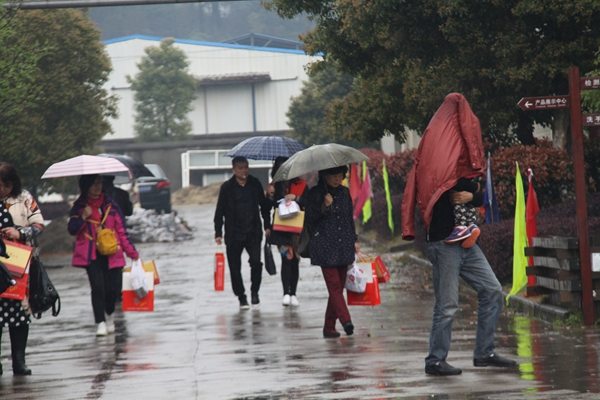 杭州亞運(yùn)會官方靈芝產(chǎn)品供應(yīng)商|杭州亞運(yùn)會官方供應(yīng)商|中國靈芝十大品牌|仙客來靈芝|仙客來靈芝破壁孢子粉|仙客來孢子油|仙客來靈芝飲片|仙客來破壁孢子粉|靈芝孢子油|孢子粉|靈芝破壁孢子粉|靈芝|中華老字號 杭州亞運(yùn)會官方靈芝產(chǎn)品供應(yīng)商|杭州亞運(yùn)會官方供應(yīng)商|中國靈芝十大品牌|仙客來靈芝|仙客來靈芝破壁孢子粉|仙客來孢子油|仙客來靈芝飲片|仙客來破壁孢子粉|靈芝孢子油|孢子粉|靈芝破壁孢子粉|靈芝|中華老字號