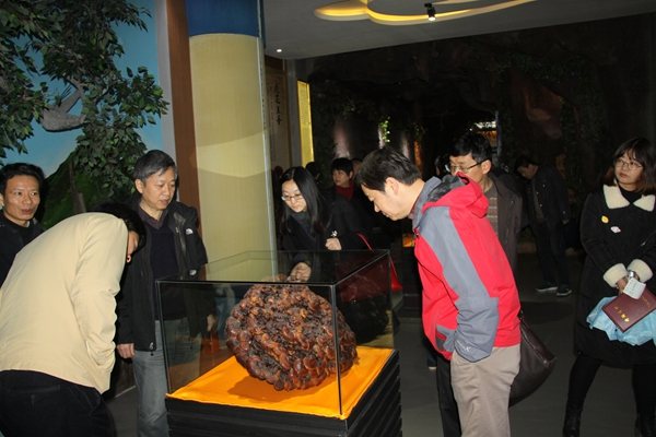 杭州亞運會官方靈芝產(chǎn)品供應商|杭州亞運會官方供應商|中國靈芝十大品牌|仙客來靈芝|仙客來靈芝破壁孢子粉|仙客來孢子油|仙客來靈芝飲片|仙客來破壁孢子粉|靈芝孢子油|孢子粉|靈芝破壁孢子粉|靈芝|中華老字號 杭州亞運會官方靈芝產(chǎn)品供應商|杭州亞運會官方供應商|中國靈芝十大品牌|仙客來靈芝|仙客來靈芝破壁孢子粉|仙客來孢子油|仙客來靈芝飲片|仙客來破壁孢子粉|靈芝孢子油|孢子粉|靈芝破壁孢子粉|靈芝|中華老字號