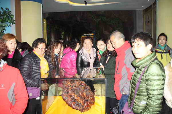 杭州亞運(yùn)會(huì)官方靈芝產(chǎn)品供應(yīng)商|杭州亞運(yùn)會(huì)官方供應(yīng)商|中國靈芝十大品牌|仙客來靈芝|仙客來靈芝破壁孢子粉|仙客來孢子油|仙客來靈芝飲片|仙客來破壁孢子粉|靈芝孢子油|孢子粉|靈芝破壁孢子粉|靈芝|中華老字號(hào) 杭州亞運(yùn)會(huì)官方靈芝產(chǎn)品供應(yīng)商|杭州亞運(yùn)會(huì)官方供應(yīng)商|中國靈芝十大品牌|仙客來靈芝|仙客來靈芝破壁孢子粉|仙客來孢子油|仙客來靈芝飲片|仙客來破壁孢子粉|靈芝孢子油|孢子粉|靈芝破壁孢子粉|靈芝|中華老字號(hào)