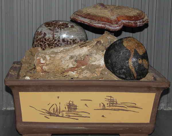 杭州亞運會官方靈芝產(chǎn)品供應(yīng)商|杭州亞運會官方供應(yīng)商|中國靈芝十大品牌|仙客來靈芝|仙客來靈芝破壁孢子粉|仙客來孢子油|仙客來靈芝飲片|仙客來破壁孢子粉|靈芝孢子油|孢子粉|靈芝破壁孢子粉|靈芝|中華老字號 杭州亞運會官方靈芝產(chǎn)品供應(yīng)商|杭州亞運會官方供應(yīng)商|中國靈芝十大品牌|仙客來靈芝|仙客來靈芝破壁孢子粉|仙客來孢子油|仙客來靈芝飲片|仙客來破壁孢子粉|靈芝孢子油|孢子粉|靈芝破壁孢子粉|靈芝|中華老字號