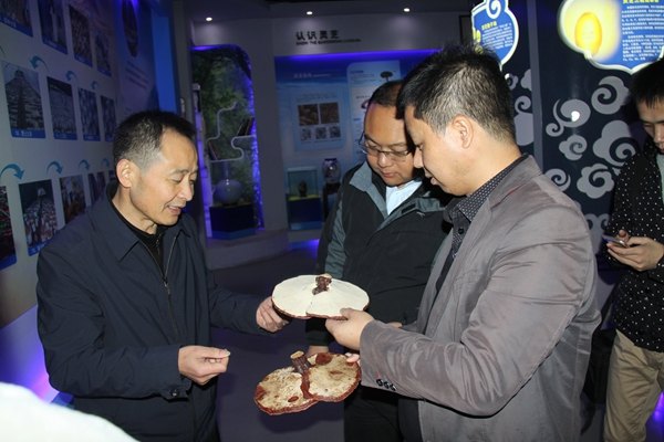 杭州亞運會官方靈芝產(chǎn)品供應(yīng)商|杭州亞運會官方供應(yīng)商|中國靈芝十大品牌|仙客來靈芝|仙客來靈芝破壁孢子粉|仙客來孢子油|仙客來靈芝飲片|仙客來破壁孢子粉|靈芝孢子油|孢子粉|靈芝破壁孢子粉|靈芝|中華老字號 杭州亞運會官方靈芝產(chǎn)品供應(yīng)商|杭州亞運會官方供應(yīng)商|中國靈芝十大品牌|仙客來靈芝|仙客來靈芝破壁孢子粉|仙客來孢子油|仙客來靈芝飲片|仙客來破壁孢子粉|靈芝孢子油|孢子粉|靈芝破壁孢子粉|靈芝|中華老字號