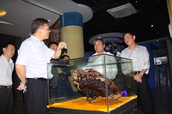 杭州亞運會官方靈芝產品供應商|杭州亞運會官方供應商|中國靈芝十大品牌|仙客來靈芝|仙客來靈芝破壁孢子粉|仙客來孢子油|仙客來靈芝飲片|仙客來破壁孢子粉|靈芝孢子油|孢子粉|靈芝破壁孢子粉|靈芝|中華老字號 杭州亞運會官方靈芝產品供應商|杭州亞運會官方供應商|中國靈芝十大品牌|仙客來靈芝|仙客來靈芝破壁孢子粉|仙客來孢子油|仙客來靈芝飲片|仙客來破壁孢子粉|靈芝孢子油|孢子粉|靈芝破壁孢子粉|靈芝|中華老字號