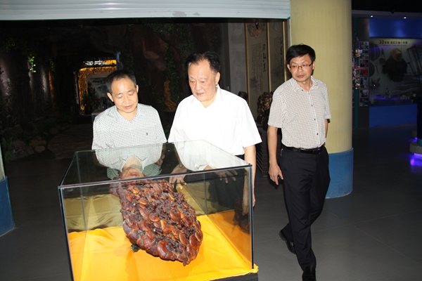 杭州亞運(yùn)會(huì)官方靈芝產(chǎn)品供應(yīng)商|杭州亞運(yùn)會(huì)官方供應(yīng)商|中國(guó)靈芝十大品牌|仙客來靈芝|仙客來靈芝破壁孢子粉|仙客來孢子油|仙客來靈芝飲片|仙客來破壁孢子粉|靈芝孢子油|孢子粉|靈芝破壁孢子粉|靈芝|中華老字號(hào) 杭州亞運(yùn)會(huì)官方靈芝產(chǎn)品供應(yīng)商|杭州亞運(yùn)會(huì)官方供應(yīng)商|中國(guó)靈芝十大品牌|仙客來靈芝|仙客來靈芝破壁孢子粉|仙客來孢子油|仙客來靈芝飲片|仙客來破壁孢子粉|靈芝孢子油|孢子粉|靈芝破壁孢子粉|靈芝|中華老字號(hào)