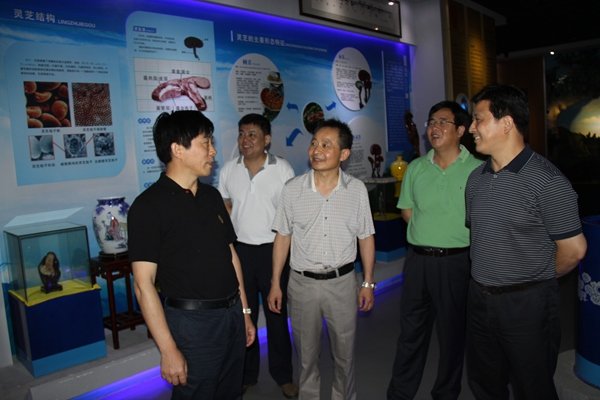 杭州亞運(yùn)會(huì)官方靈芝產(chǎn)品供應(yīng)商|杭州亞運(yùn)會(huì)官方供應(yīng)商|中國(guó)靈芝十大品牌|仙客來(lái)靈芝|仙客來(lái)靈芝破壁孢子粉|仙客來(lái)孢子油|仙客來(lái)靈芝飲片|仙客來(lái)破壁孢子粉|靈芝孢子油|孢子粉|靈芝破壁孢子粉|靈芝|中華老字號(hào) 杭州亞運(yùn)會(huì)官方靈芝產(chǎn)品供應(yīng)商|杭州亞運(yùn)會(huì)官方供應(yīng)商|中國(guó)靈芝十大品牌|仙客來(lái)靈芝|仙客來(lái)靈芝破壁孢子粉|仙客來(lái)孢子油|仙客來(lái)靈芝飲片|仙客來(lái)破壁孢子粉|靈芝孢子油|孢子粉|靈芝破壁孢子粉|靈芝|中華老字號(hào)