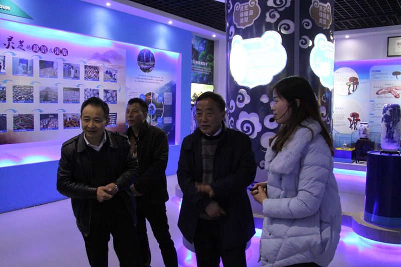 杭州亞運(yùn)會(huì)官方靈芝產(chǎn)品供應(yīng)商|杭州亞運(yùn)會(huì)官方供應(yīng)商|中國(guó)靈芝十大品牌|仙客來(lái)靈芝|仙客來(lái)靈芝破壁孢子粉|仙客來(lái)孢子油|仙客來(lái)靈芝飲片|仙客來(lái)破壁孢子粉|靈芝孢子油|孢子粉|靈芝破壁孢子粉|靈芝|中華老字號(hào) 杭州亞運(yùn)會(huì)官方靈芝產(chǎn)品供應(yīng)商|杭州亞運(yùn)會(huì)官方供應(yīng)商|中國(guó)靈芝十大品牌|仙客來(lái)靈芝|仙客來(lái)靈芝破壁孢子粉|仙客來(lái)孢子油|仙客來(lái)靈芝飲片|仙客來(lái)破壁孢子粉|靈芝孢子油|孢子粉|靈芝破壁孢子粉|靈芝|中華老字號(hào)