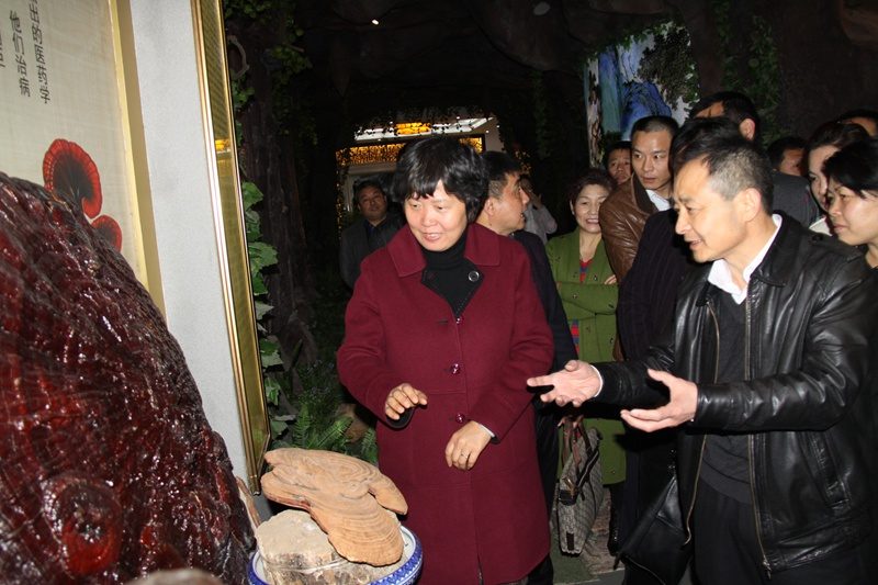 杭州亞運(yùn)會(huì)官方靈芝產(chǎn)品供應(yīng)商|杭州亞運(yùn)會(huì)官方供應(yīng)商|中國靈芝十大品牌|仙客來靈芝|仙客來靈芝破壁孢子粉|仙客來孢子油|仙客來靈芝飲片|仙客來破壁孢子粉|靈芝孢子油|孢子粉|靈芝破壁孢子粉|靈芝|中華老字號(hào) 杭州亞運(yùn)會(huì)官方靈芝產(chǎn)品供應(yīng)商|杭州亞運(yùn)會(huì)官方供應(yīng)商|中國靈芝十大品牌|仙客來靈芝|仙客來靈芝破壁孢子粉|仙客來孢子油|仙客來靈芝飲片|仙客來破壁孢子粉|靈芝孢子油|孢子粉|靈芝破壁孢子粉|靈芝|中華老字號(hào)