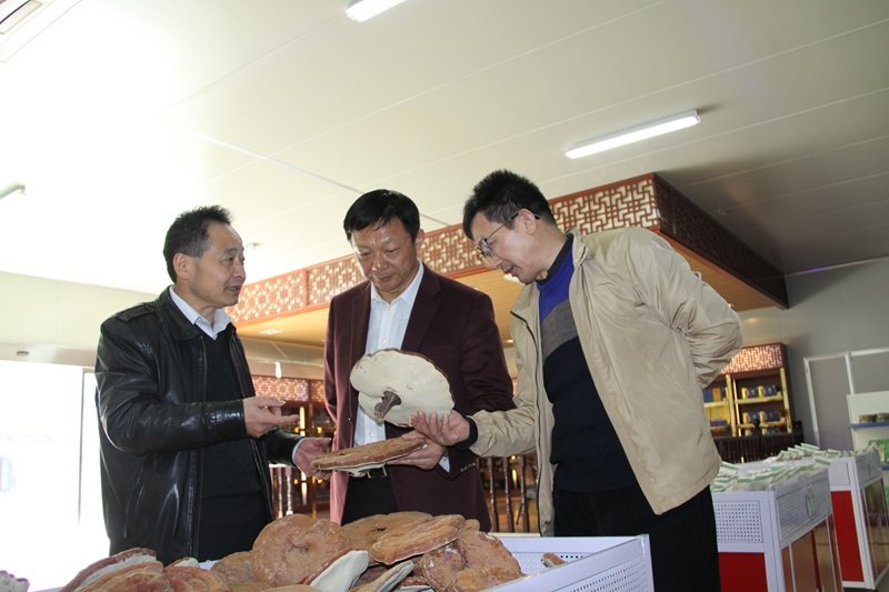 杭州亞運(yùn)會(huì)官方靈芝產(chǎn)品供應(yīng)商|杭州亞運(yùn)會(huì)官方供應(yīng)商|中國靈芝十大品牌|仙客來靈芝|仙客來靈芝破壁孢子粉|仙客來孢子油|仙客來靈芝飲片|仙客來破壁孢子粉|靈芝孢子油|孢子粉|靈芝破壁孢子粉|靈芝|中華老字號(hào) 杭州亞運(yùn)會(huì)官方靈芝產(chǎn)品供應(yīng)商|杭州亞運(yùn)會(huì)官方供應(yīng)商|中國靈芝十大品牌|仙客來靈芝|仙客來靈芝破壁孢子粉|仙客來孢子油|仙客來靈芝飲片|仙客來破壁孢子粉|靈芝孢子油|孢子粉|靈芝破壁孢子粉|靈芝|中華老字號(hào)