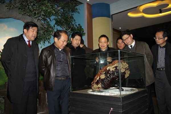 杭州亞運(yùn)會(huì)官方靈芝產(chǎn)品供應(yīng)商|杭州亞運(yùn)會(huì)官方供應(yīng)商|中國靈芝十大品牌|仙客來靈芝|仙客來靈芝破壁孢子粉|仙客來孢子油|仙客來靈芝飲片|仙客來破壁孢子粉|靈芝孢子油|孢子粉|靈芝破壁孢子粉|靈芝|中華老字號(hào) 杭州亞運(yùn)會(huì)官方靈芝產(chǎn)品供應(yīng)商|杭州亞運(yùn)會(huì)官方供應(yīng)商|中國靈芝十大品牌|仙客來靈芝|仙客來靈芝破壁孢子粉|仙客來孢子油|仙客來靈芝飲片|仙客來破壁孢子粉|靈芝孢子油|孢子粉|靈芝破壁孢子粉|靈芝|中華老字號(hào)