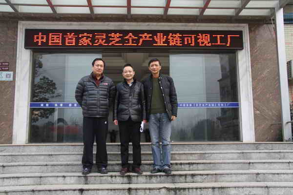 杭州亞運(yùn)會(huì)官方靈芝產(chǎn)品供應(yīng)商|杭州亞運(yùn)會(huì)官方供應(yīng)商|中國(guó)靈芝十大品牌|仙客來(lái)靈芝|仙客來(lái)靈芝破壁孢子粉|仙客來(lái)孢子油|仙客來(lái)靈芝飲片|仙客來(lái)破壁孢子粉|靈芝孢子油|孢子粉|靈芝破壁孢子粉|靈芝|中華老字號(hào) 杭州亞運(yùn)會(huì)官方靈芝產(chǎn)品供應(yīng)商|杭州亞運(yùn)會(huì)官方供應(yīng)商|中國(guó)靈芝十大品牌|仙客來(lái)靈芝|仙客來(lái)靈芝破壁孢子粉|仙客來(lái)孢子油|仙客來(lái)靈芝飲片|仙客來(lái)破壁孢子粉|靈芝孢子油|孢子粉|靈芝破壁孢子粉|靈芝|中華老字號(hào)