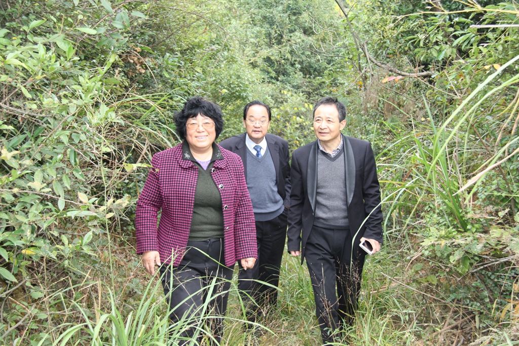 杭州亞運(yùn)會(huì)官方靈芝產(chǎn)品供應(yīng)商|杭州亞運(yùn)會(huì)官方供應(yīng)商|中國(guó)靈芝十大品牌|仙客來(lái)靈芝|仙客來(lái)靈芝破壁孢子粉|仙客來(lái)孢子油|仙客來(lái)靈芝飲片|仙客來(lái)破壁孢子粉|靈芝孢子油|孢子粉|靈芝破壁孢子粉|靈芝|中華老字號(hào) 杭州亞運(yùn)會(huì)官方靈芝產(chǎn)品供應(yīng)商|杭州亞運(yùn)會(huì)官方供應(yīng)商|中國(guó)靈芝十大品牌|仙客來(lái)靈芝|仙客來(lái)靈芝破壁孢子粉|仙客來(lái)孢子油|仙客來(lái)靈芝飲片|仙客來(lái)破壁孢子粉|靈芝孢子油|孢子粉|靈芝破壁孢子粉|靈芝|中華老字號(hào)