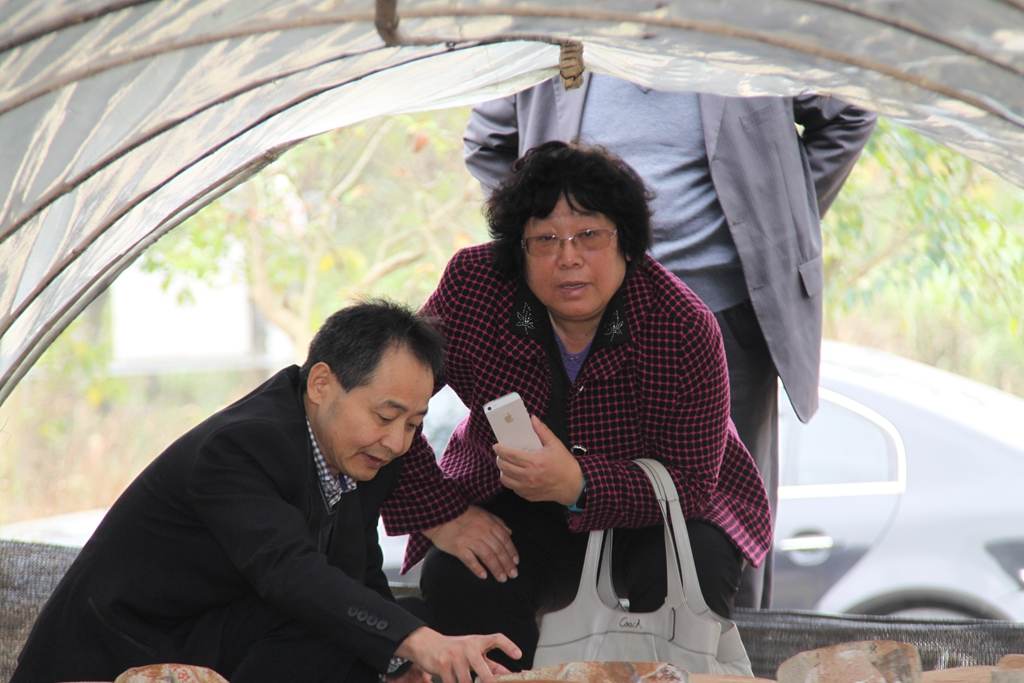 杭州亞運(yùn)會(huì)官方靈芝產(chǎn)品供應(yīng)商|杭州亞運(yùn)會(huì)官方供應(yīng)商|中國(guó)靈芝十大品牌|仙客來(lái)靈芝|仙客來(lái)靈芝破壁孢子粉|仙客來(lái)孢子油|仙客來(lái)靈芝飲片|仙客來(lái)破壁孢子粉|靈芝孢子油|孢子粉|靈芝破壁孢子粉|靈芝|中華老字號(hào) 杭州亞運(yùn)會(huì)官方靈芝產(chǎn)品供應(yīng)商|杭州亞運(yùn)會(huì)官方供應(yīng)商|中國(guó)靈芝十大品牌|仙客來(lái)靈芝|仙客來(lái)靈芝破壁孢子粉|仙客來(lái)孢子油|仙客來(lái)靈芝飲片|仙客來(lái)破壁孢子粉|靈芝孢子油|孢子粉|靈芝破壁孢子粉|靈芝|中華老字號(hào)