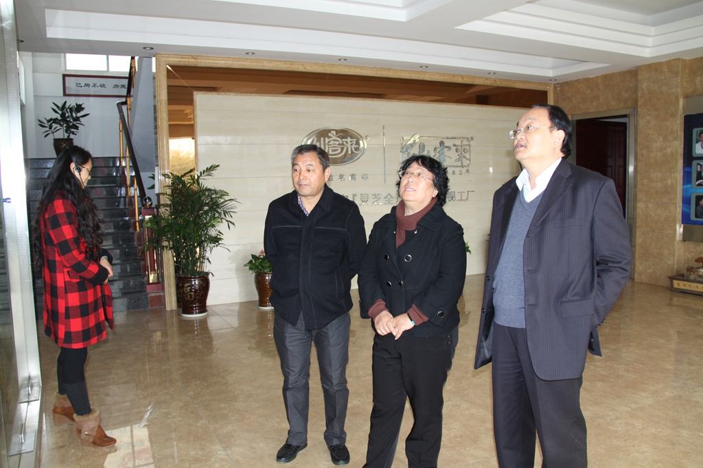 杭州亞運(yùn)會(huì)官方靈芝產(chǎn)品供應(yīng)商|杭州亞運(yùn)會(huì)官方供應(yīng)商|中國(guó)靈芝十大品牌|仙客來(lái)靈芝|仙客來(lái)靈芝破壁孢子粉|仙客來(lái)孢子油|仙客來(lái)靈芝飲片|仙客來(lái)破壁孢子粉|靈芝孢子油|孢子粉|靈芝破壁孢子粉|靈芝|中華老字號(hào) 杭州亞運(yùn)會(huì)官方靈芝產(chǎn)品供應(yīng)商|杭州亞運(yùn)會(huì)官方供應(yīng)商|中國(guó)靈芝十大品牌|仙客來(lái)靈芝|仙客來(lái)靈芝破壁孢子粉|仙客來(lái)孢子油|仙客來(lái)靈芝飲片|仙客來(lái)破壁孢子粉|靈芝孢子油|孢子粉|靈芝破壁孢子粉|靈芝|中華老字號(hào)