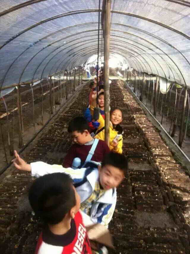 杭州亞運會官方靈芝產(chǎn)品供應(yīng)商|杭州亞運會官方供應(yīng)商|中國靈芝十大品牌|仙客來靈芝|仙客來靈芝破壁孢子粉|仙客來孢子油|仙客來靈芝飲片|仙客來破壁孢子粉|靈芝孢子油|孢子粉|靈芝破壁孢子粉|靈芝|中華老字號 杭州亞運會官方靈芝產(chǎn)品供應(yīng)商|杭州亞運會官方供應(yīng)商|中國靈芝十大品牌|仙客來靈芝|仙客來靈芝破壁孢子粉|仙客來孢子油|仙客來靈芝飲片|仙客來破壁孢子粉|靈芝孢子油|孢子粉|靈芝破壁孢子粉|靈芝|中華老字號