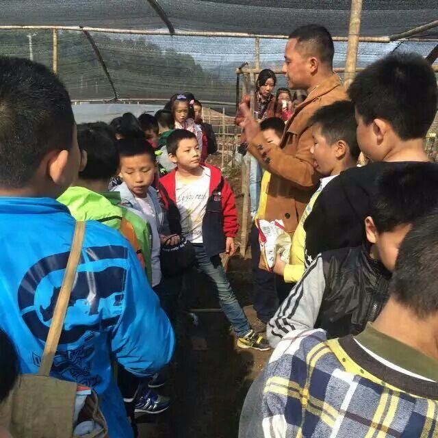 杭州亞運會官方靈芝產(chǎn)品供應(yīng)商|杭州亞運會官方供應(yīng)商|中國靈芝十大品牌|仙客來靈芝|仙客來靈芝破壁孢子粉|仙客來孢子油|仙客來靈芝飲片|仙客來破壁孢子粉|靈芝孢子油|孢子粉|靈芝破壁孢子粉|靈芝|中華老字號 杭州亞運會官方靈芝產(chǎn)品供應(yīng)商|杭州亞運會官方供應(yīng)商|中國靈芝十大品牌|仙客來靈芝|仙客來靈芝破壁孢子粉|仙客來孢子油|仙客來靈芝飲片|仙客來破壁孢子粉|靈芝孢子油|孢子粉|靈芝破壁孢子粉|靈芝|中華老字號