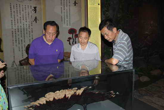 杭州亞運會官方靈芝產品供應商|杭州亞運會官方供應商|中國靈芝十大品牌|仙客來靈芝|仙客來靈芝破壁孢子粉|仙客來孢子油|仙客來靈芝飲片|仙客來破壁孢子粉|靈芝孢子油|孢子粉|靈芝破壁孢子粉|靈芝|中華老字號 杭州亞運會官方靈芝產品供應商|杭州亞運會官方供應商|中國靈芝十大品牌|仙客來靈芝|仙客來靈芝破壁孢子粉|仙客來孢子油|仙客來靈芝飲片|仙客來破壁孢子粉|靈芝孢子油|孢子粉|靈芝破壁孢子粉|靈芝|中華老字號