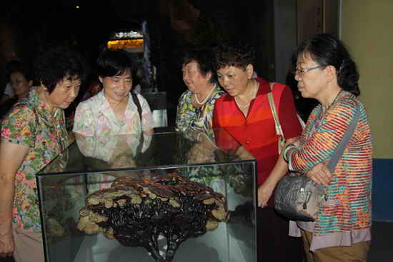 杭州亞運(yùn)會官方靈芝產(chǎn)品供應(yīng)商|杭州亞運(yùn)會官方供應(yīng)商|中國靈芝十大品牌|仙客來靈芝|仙客來靈芝破壁孢子粉|仙客來孢子油|仙客來靈芝飲片|仙客來破壁孢子粉|靈芝孢子油|孢子粉|靈芝破壁孢子粉|靈芝|中華老字號 杭州亞運(yùn)會官方靈芝產(chǎn)品供應(yīng)商|杭州亞運(yùn)會官方供應(yīng)商|中國靈芝十大品牌|仙客來靈芝|仙客來靈芝破壁孢子粉|仙客來孢子油|仙客來靈芝飲片|仙客來破壁孢子粉|靈芝孢子油|孢子粉|靈芝破壁孢子粉|靈芝|中華老字號