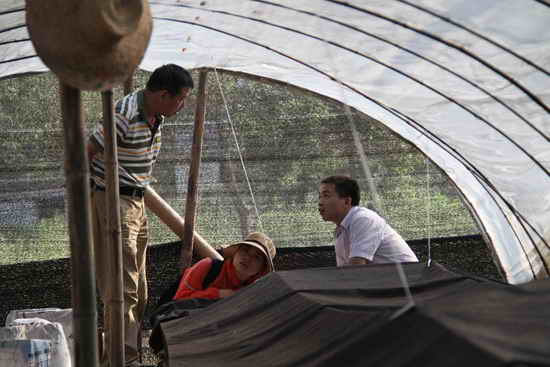 杭州亞運(yùn)會(huì)官方靈芝產(chǎn)品供應(yīng)商|杭州亞運(yùn)會(huì)官方供應(yīng)商|中國靈芝十大品牌|仙客來靈芝|仙客來靈芝破壁孢子粉|仙客來孢子油|仙客來靈芝飲片|仙客來破壁孢子粉|靈芝孢子油|孢子粉|靈芝破壁孢子粉|靈芝|中華老字號 杭州亞運(yùn)會(huì)官方靈芝產(chǎn)品供應(yīng)商|杭州亞運(yùn)會(huì)官方供應(yīng)商|中國靈芝十大品牌|仙客來靈芝|仙客來靈芝破壁孢子粉|仙客來孢子油|仙客來靈芝飲片|仙客來破壁孢子粉|靈芝孢子油|孢子粉|靈芝破壁孢子粉|靈芝|中華老字號