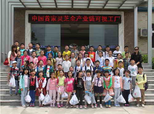 杭州亞運(yùn)會(huì)官方靈芝產(chǎn)品供應(yīng)商|杭州亞運(yùn)會(huì)官方供應(yīng)商|中國靈芝十大品牌|仙客來靈芝|仙客來靈芝破壁孢子粉|仙客來孢子油|仙客來靈芝飲片|仙客來破壁孢子粉|靈芝孢子油|孢子粉|靈芝破壁孢子粉|靈芝|中華老字號(hào) 杭州亞運(yùn)會(huì)官方靈芝產(chǎn)品供應(yīng)商|杭州亞運(yùn)會(huì)官方供應(yīng)商|中國靈芝十大品牌|仙客來靈芝|仙客來靈芝破壁孢子粉|仙客來孢子油|仙客來靈芝飲片|仙客來破壁孢子粉|靈芝孢子油|孢子粉|靈芝破壁孢子粉|靈芝|中華老字號(hào)