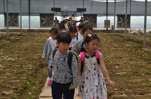 杭州亞運(yùn)會(huì)官方靈芝產(chǎn)品供應(yīng)商|杭州亞運(yùn)會(huì)官方供應(yīng)商|中國靈芝十大品牌|仙客來靈芝|仙客來靈芝破壁孢子粉|仙客來孢子油|仙客來靈芝飲片|仙客來破壁孢子粉|靈芝孢子油|孢子粉|靈芝破壁孢子粉|靈芝|中華老字號(hào) 杭州亞運(yùn)會(huì)官方靈芝產(chǎn)品供應(yīng)商|杭州亞運(yùn)會(huì)官方供應(yīng)商|中國靈芝十大品牌|仙客來靈芝|仙客來靈芝破壁孢子粉|仙客來孢子油|仙客來靈芝飲片|仙客來破壁孢子粉|靈芝孢子油|孢子粉|靈芝破壁孢子粉|靈芝|中華老字號(hào)