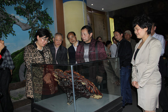 杭州亞運會官方靈芝產(chǎn)品供應(yīng)商|杭州亞運會官方供應(yīng)商|中國靈芝十大品牌|仙客來靈芝|仙客來靈芝破壁孢子粉|仙客來孢子油|仙客來靈芝飲片|仙客來破壁孢子粉|靈芝孢子油|孢子粉|靈芝破壁孢子粉|靈芝|中華老字號 杭州亞運會官方靈芝產(chǎn)品供應(yīng)商|杭州亞運會官方供應(yīng)商|中國靈芝十大品牌|仙客來靈芝|仙客來靈芝破壁孢子粉|仙客來孢子油|仙客來靈芝飲片|仙客來破壁孢子粉|靈芝孢子油|孢子粉|靈芝破壁孢子粉|靈芝|中華老字號