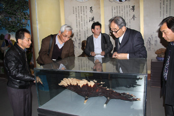 杭州亞運(yùn)會官方靈芝產(chǎn)品供應(yīng)商|杭州亞運(yùn)會官方供應(yīng)商|中國靈芝十大品牌|仙客來靈芝|仙客來靈芝破壁孢子粉|仙客來孢子油|仙客來靈芝飲片|仙客來破壁孢子粉|靈芝孢子油|孢子粉|靈芝破壁孢子粉|靈芝|中華老字號 杭州亞運(yùn)會官方靈芝產(chǎn)品供應(yīng)商|杭州亞運(yùn)會官方供應(yīng)商|中國靈芝十大品牌|仙客來靈芝|仙客來靈芝破壁孢子粉|仙客來孢子油|仙客來靈芝飲片|仙客來破壁孢子粉|靈芝孢子油|孢子粉|靈芝破壁孢子粉|靈芝|中華老字號