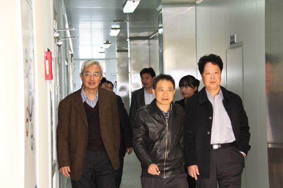 杭州亞運(yùn)會官方靈芝產(chǎn)品供應(yīng)商|杭州亞運(yùn)會官方供應(yīng)商|中國靈芝十大品牌|仙客來靈芝|仙客來靈芝破壁孢子粉|仙客來孢子油|仙客來靈芝飲片|仙客來破壁孢子粉|靈芝孢子油|孢子粉|靈芝破壁孢子粉|靈芝|中華老字號 杭州亞運(yùn)會官方靈芝產(chǎn)品供應(yīng)商|杭州亞運(yùn)會官方供應(yīng)商|中國靈芝十大品牌|仙客來靈芝|仙客來靈芝破壁孢子粉|仙客來孢子油|仙客來靈芝飲片|仙客來破壁孢子粉|靈芝孢子油|孢子粉|靈芝破壁孢子粉|靈芝|中華老字號