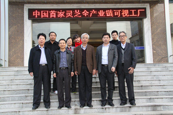 杭州亞運(yùn)會官方靈芝產(chǎn)品供應(yīng)商|杭州亞運(yùn)會官方供應(yīng)商|中國靈芝十大品牌|仙客來靈芝|仙客來靈芝破壁孢子粉|仙客來孢子油|仙客來靈芝飲片|仙客來破壁孢子粉|靈芝孢子油|孢子粉|靈芝破壁孢子粉|靈芝|中華老字號 杭州亞運(yùn)會官方靈芝產(chǎn)品供應(yīng)商|杭州亞運(yùn)會官方供應(yīng)商|中國靈芝十大品牌|仙客來靈芝|仙客來靈芝破壁孢子粉|仙客來孢子油|仙客來靈芝飲片|仙客來破壁孢子粉|靈芝孢子油|孢子粉|靈芝破壁孢子粉|靈芝|中華老字號