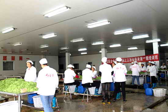 杭州亞運(yùn)會官方靈芝產(chǎn)品供應(yīng)商|杭州亞運(yùn)會官方供應(yīng)商|中國靈芝十大品牌|仙客來靈芝|仙客來靈芝破壁孢子粉|仙客來孢子油|仙客來靈芝飲片|仙客來破壁孢子粉|靈芝孢子油|孢子粉|靈芝破壁孢子粉|靈芝|中華老字號 杭州亞運(yùn)會官方靈芝產(chǎn)品供應(yīng)商|杭州亞運(yùn)會官方供應(yīng)商|中國靈芝十大品牌|仙客來靈芝|仙客來靈芝破壁孢子粉|仙客來孢子油|仙客來靈芝飲片|仙客來破壁孢子粉|靈芝孢子油|孢子粉|靈芝破壁孢子粉|靈芝|中華老字號