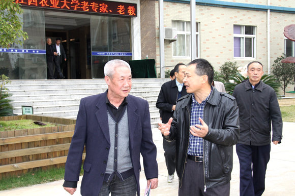 杭州亞運會官方靈芝產(chǎn)品供應(yīng)商|杭州亞運會官方供應(yīng)商|中國靈芝十大品牌|仙客來靈芝|仙客來靈芝破壁孢子粉|仙客來孢子油|仙客來靈芝飲片|仙客來破壁孢子粉|靈芝孢子油|孢子粉|靈芝破壁孢子粉|靈芝|中華老字號 杭州亞運會官方靈芝產(chǎn)品供應(yīng)商|杭州亞運會官方供應(yīng)商|中國靈芝十大品牌|仙客來靈芝|仙客來靈芝破壁孢子粉|仙客來孢子油|仙客來靈芝飲片|仙客來破壁孢子粉|靈芝孢子油|孢子粉|靈芝破壁孢子粉|靈芝|中華老字號