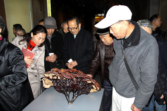 杭州亞運會官方靈芝產(chǎn)品供應(yīng)商|杭州亞運會官方供應(yīng)商|中國靈芝十大品牌|仙客來靈芝|仙客來靈芝破壁孢子粉|仙客來孢子油|仙客來靈芝飲片|仙客來破壁孢子粉|靈芝孢子油|孢子粉|靈芝破壁孢子粉|靈芝|中華老字號 杭州亞運會官方靈芝產(chǎn)品供應(yīng)商|杭州亞運會官方供應(yīng)商|中國靈芝十大品牌|仙客來靈芝|仙客來靈芝破壁孢子粉|仙客來孢子油|仙客來靈芝飲片|仙客來破壁孢子粉|靈芝孢子油|孢子粉|靈芝破壁孢子粉|靈芝|中華老字號