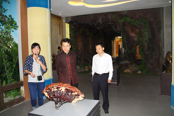 杭州亞運(yùn)會(huì)官方靈芝產(chǎn)品供應(yīng)商|杭州亞運(yùn)會(huì)官方供應(yīng)商|中國(guó)靈芝十大品牌|仙客來(lái)靈芝|仙客來(lái)靈芝破壁孢子粉|仙客來(lái)孢子油|仙客來(lái)靈芝飲片|仙客來(lái)破壁孢子粉|靈芝孢子油|孢子粉|靈芝破壁孢子粉|靈芝|中華老字號(hào) 杭州亞運(yùn)會(huì)官方靈芝產(chǎn)品供應(yīng)商|杭州亞運(yùn)會(huì)官方供應(yīng)商|中國(guó)靈芝十大品牌|仙客來(lái)靈芝|仙客來(lái)靈芝破壁孢子粉|仙客來(lái)孢子油|仙客來(lái)靈芝飲片|仙客來(lái)破壁孢子粉|靈芝孢子油|孢子粉|靈芝破壁孢子粉|靈芝|中華老字號(hào)