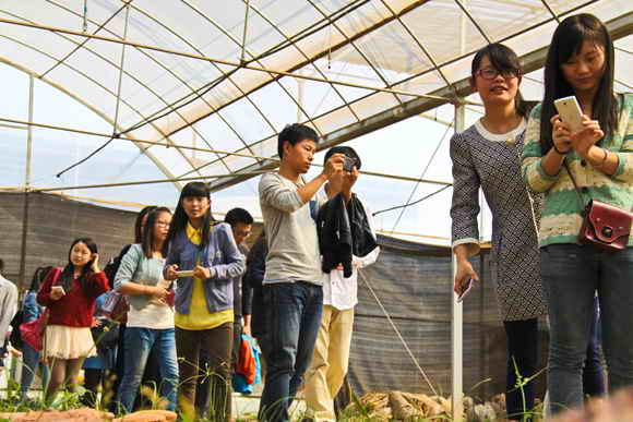 杭州亞運(yùn)會官方靈芝產(chǎn)品供應(yīng)商|杭州亞運(yùn)會官方供應(yīng)商|中國靈芝十大品牌|仙客來靈芝|仙客來靈芝破壁孢子粉|仙客來孢子油|仙客來靈芝飲片|仙客來破壁孢子粉|靈芝孢子油|孢子粉|靈芝破壁孢子粉|靈芝|中華老字號 杭州亞運(yùn)會官方靈芝產(chǎn)品供應(yīng)商|杭州亞運(yùn)會官方供應(yīng)商|中國靈芝十大品牌|仙客來靈芝|仙客來靈芝破壁孢子粉|仙客來孢子油|仙客來靈芝飲片|仙客來破壁孢子粉|靈芝孢子油|孢子粉|靈芝破壁孢子粉|靈芝|中華老字號