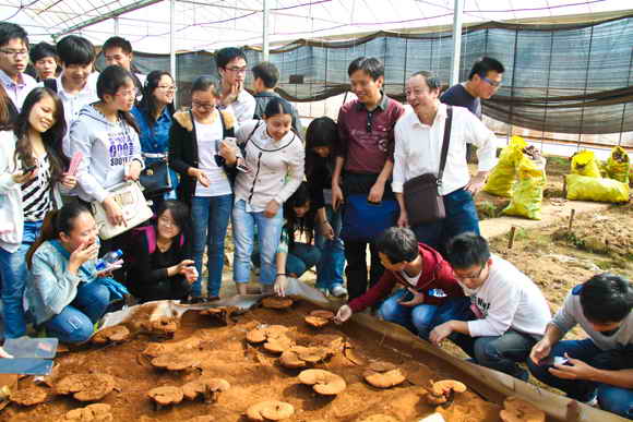 杭州亞運(yùn)會官方靈芝產(chǎn)品供應(yīng)商|杭州亞運(yùn)會官方供應(yīng)商|中國靈芝十大品牌|仙客來靈芝|仙客來靈芝破壁孢子粉|仙客來孢子油|仙客來靈芝飲片|仙客來破壁孢子粉|靈芝孢子油|孢子粉|靈芝破壁孢子粉|靈芝|中華老字號 杭州亞運(yùn)會官方靈芝產(chǎn)品供應(yīng)商|杭州亞運(yùn)會官方供應(yīng)商|中國靈芝十大品牌|仙客來靈芝|仙客來靈芝破壁孢子粉|仙客來孢子油|仙客來靈芝飲片|仙客來破壁孢子粉|靈芝孢子油|孢子粉|靈芝破壁孢子粉|靈芝|中華老字號