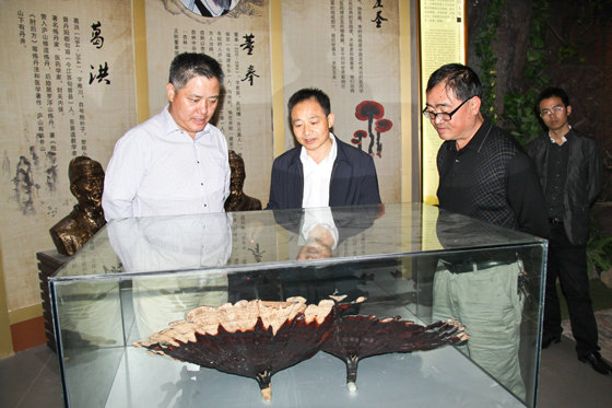 杭州亞運(yùn)會(huì)官方靈芝產(chǎn)品供應(yīng)商|杭州亞運(yùn)會(huì)官方供應(yīng)商|中國(guó)靈芝十大品牌|仙客來(lái)靈芝|仙客來(lái)靈芝破壁孢子粉|仙客來(lái)孢子油|仙客來(lái)靈芝飲片|仙客來(lái)破壁孢子粉|靈芝孢子油|孢子粉|靈芝破壁孢子粉|靈芝|中華老字號(hào) 杭州亞運(yùn)會(huì)官方靈芝產(chǎn)品供應(yīng)商|杭州亞運(yùn)會(huì)官方供應(yīng)商|中國(guó)靈芝十大品牌|仙客來(lái)靈芝|仙客來(lái)靈芝破壁孢子粉|仙客來(lái)孢子油|仙客來(lái)靈芝飲片|仙客來(lái)破壁孢子粉|靈芝孢子油|孢子粉|靈芝破壁孢子粉|靈芝|中華老字號(hào)