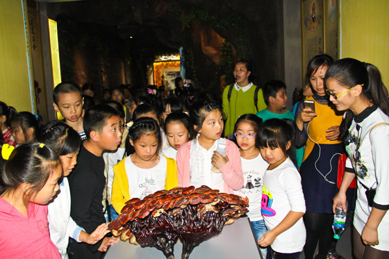 杭州亞運(yùn)會(huì)官方靈芝產(chǎn)品供應(yīng)商|杭州亞運(yùn)會(huì)官方供應(yīng)商|中國(guó)靈芝十大品牌|仙客來(lái)靈芝|仙客來(lái)靈芝破壁孢子粉|仙客來(lái)孢子油|仙客來(lái)靈芝飲片|仙客來(lái)破壁孢子粉|靈芝孢子油|孢子粉|靈芝破壁孢子粉|靈芝|中華老字號(hào) 杭州亞運(yùn)會(huì)官方靈芝產(chǎn)品供應(yīng)商|杭州亞運(yùn)會(huì)官方供應(yīng)商|中國(guó)靈芝十大品牌|仙客來(lái)靈芝|仙客來(lái)靈芝破壁孢子粉|仙客來(lái)孢子油|仙客來(lái)靈芝飲片|仙客來(lái)破壁孢子粉|靈芝孢子油|孢子粉|靈芝破壁孢子粉|靈芝|中華老字號(hào)