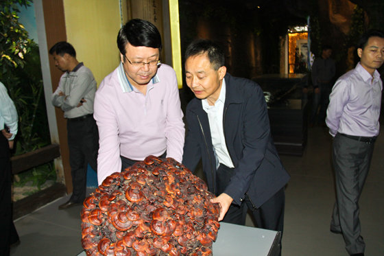 杭州亞運會官方靈芝產(chǎn)品供應(yīng)商|杭州亞運會官方供應(yīng)商|中國靈芝十大品牌|仙客來靈芝|仙客來靈芝破壁孢子粉|仙客來孢子油|仙客來靈芝飲片|仙客來破壁孢子粉|靈芝孢子油|孢子粉|靈芝破壁孢子粉|靈芝|中華老字號 杭州亞運會官方靈芝產(chǎn)品供應(yīng)商|杭州亞運會官方供應(yīng)商|中國靈芝十大品牌|仙客來靈芝|仙客來靈芝破壁孢子粉|仙客來孢子油|仙客來靈芝飲片|仙客來破壁孢子粉|靈芝孢子油|孢子粉|靈芝破壁孢子粉|靈芝|中華老字號