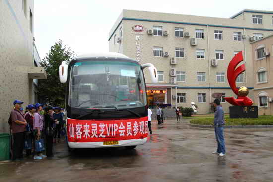 杭州亞運會官方靈芝產(chǎn)品供應(yīng)商|杭州亞運會官方供應(yīng)商|中國靈芝十大品牌|仙客來靈芝|仙客來靈芝破壁孢子粉|仙客來孢子油|仙客來靈芝飲片|仙客來破壁孢子粉|靈芝孢子油|孢子粉|靈芝破壁孢子粉|靈芝|中華老字號 杭州亞運會官方靈芝產(chǎn)品供應(yīng)商|杭州亞運會官方供應(yīng)商|中國靈芝十大品牌|仙客來靈芝|仙客來靈芝破壁孢子粉|仙客來孢子油|仙客來靈芝飲片|仙客來破壁孢子粉|靈芝孢子油|孢子粉|靈芝破壁孢子粉|靈芝|中華老字號