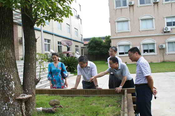 杭州亞運(yùn)會(huì)官方靈芝產(chǎn)品供應(yīng)商|杭州亞運(yùn)會(huì)官方供應(yīng)商|中國(guó)靈芝十大品牌|仙客來(lái)靈芝|仙客來(lái)靈芝破壁孢子粉|仙客來(lái)孢子油|仙客來(lái)靈芝飲片|仙客來(lái)破壁孢子粉|靈芝孢子油|孢子粉|靈芝破壁孢子粉|靈芝|中華老字號(hào) 杭州亞運(yùn)會(huì)官方靈芝產(chǎn)品供應(yīng)商|杭州亞運(yùn)會(huì)官方供應(yīng)商|中國(guó)靈芝十大品牌|仙客來(lái)靈芝|仙客來(lái)靈芝破壁孢子粉|仙客來(lái)孢子油|仙客來(lái)靈芝飲片|仙客來(lái)破壁孢子粉|靈芝孢子油|孢子粉|靈芝破壁孢子粉|靈芝|中華老字號(hào)