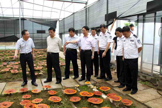 杭州亞運(yùn)會(huì)官方靈芝產(chǎn)品供應(yīng)商|杭州亞運(yùn)會(huì)官方供應(yīng)商|中國(guó)靈芝十大品牌|仙客來(lái)靈芝|仙客來(lái)靈芝破壁孢子粉|仙客來(lái)孢子油|仙客來(lái)靈芝飲片|仙客來(lái)破壁孢子粉|靈芝孢子油|孢子粉|靈芝破壁孢子粉|靈芝|中華老字號(hào) 杭州亞運(yùn)會(huì)官方靈芝產(chǎn)品供應(yīng)商|杭州亞運(yùn)會(huì)官方供應(yīng)商|中國(guó)靈芝十大品牌|仙客來(lái)靈芝|仙客來(lái)靈芝破壁孢子粉|仙客來(lái)孢子油|仙客來(lái)靈芝飲片|仙客來(lái)破壁孢子粉|靈芝孢子油|孢子粉|靈芝破壁孢子粉|靈芝|中華老字號(hào)