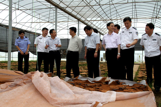 杭州亞運(yùn)會(huì)官方靈芝產(chǎn)品供應(yīng)商|杭州亞運(yùn)會(huì)官方供應(yīng)商|中國(guó)靈芝十大品牌|仙客來(lái)靈芝|仙客來(lái)靈芝破壁孢子粉|仙客來(lái)孢子油|仙客來(lái)靈芝飲片|仙客來(lái)破壁孢子粉|靈芝孢子油|孢子粉|靈芝破壁孢子粉|靈芝|中華老字號(hào) 杭州亞運(yùn)會(huì)官方靈芝產(chǎn)品供應(yīng)商|杭州亞運(yùn)會(huì)官方供應(yīng)商|中國(guó)靈芝十大品牌|仙客來(lái)靈芝|仙客來(lái)靈芝破壁孢子粉|仙客來(lái)孢子油|仙客來(lái)靈芝飲片|仙客來(lái)破壁孢子粉|靈芝孢子油|孢子粉|靈芝破壁孢子粉|靈芝|中華老字號(hào)