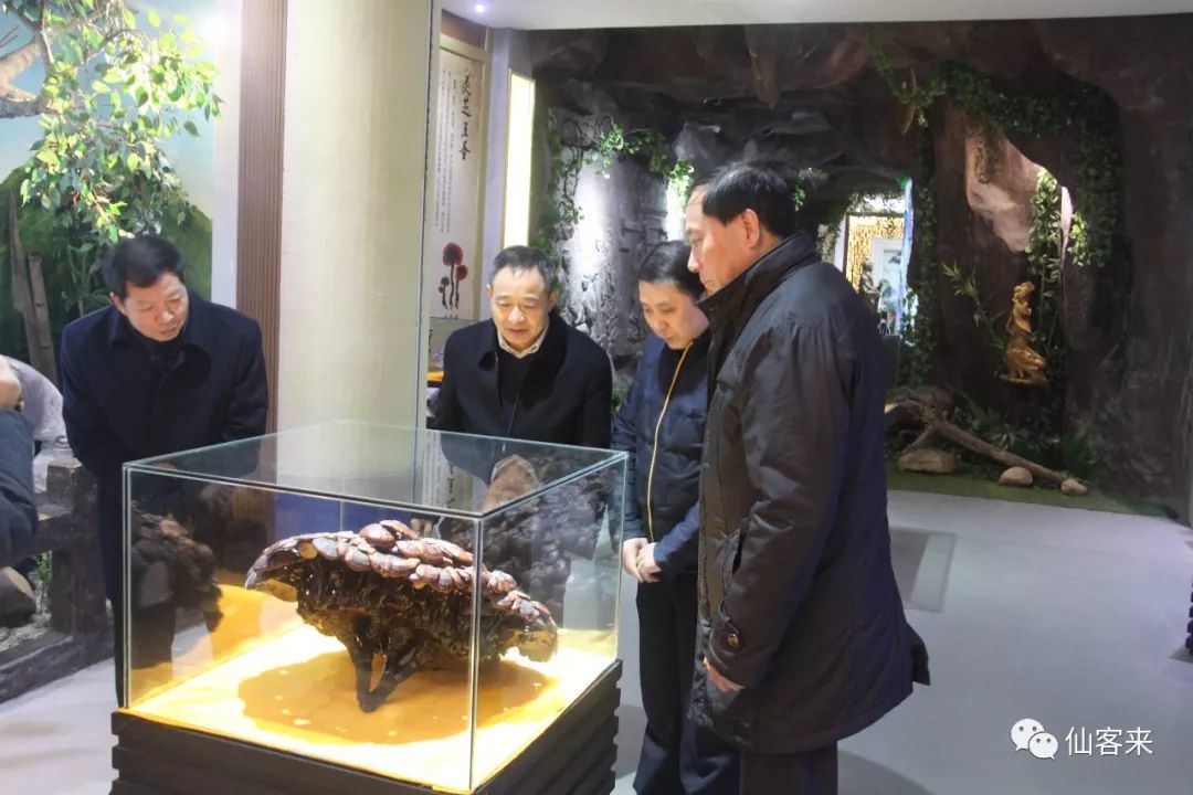 杭州亞運(yùn)會(huì)官方靈芝產(chǎn)品供應(yīng)商|杭州亞運(yùn)會(huì)官方供應(yīng)商|中國靈芝十大品牌|仙客來靈芝|仙客來靈芝破壁孢子粉|仙客來孢子油|仙客來靈芝飲片|仙客來破壁孢子粉|靈芝孢子油|孢子粉|靈芝破壁孢子粉|靈芝|中華老字號 杭州亞運(yùn)會(huì)官方靈芝產(chǎn)品供應(yīng)商|杭州亞運(yùn)會(huì)官方供應(yīng)商|中國靈芝十大品牌|仙客來靈芝|仙客來靈芝破壁孢子粉|仙客來孢子油|仙客來靈芝飲片|仙客來破壁孢子粉|靈芝孢子油|孢子粉|靈芝破壁孢子粉|靈芝|中華老字號