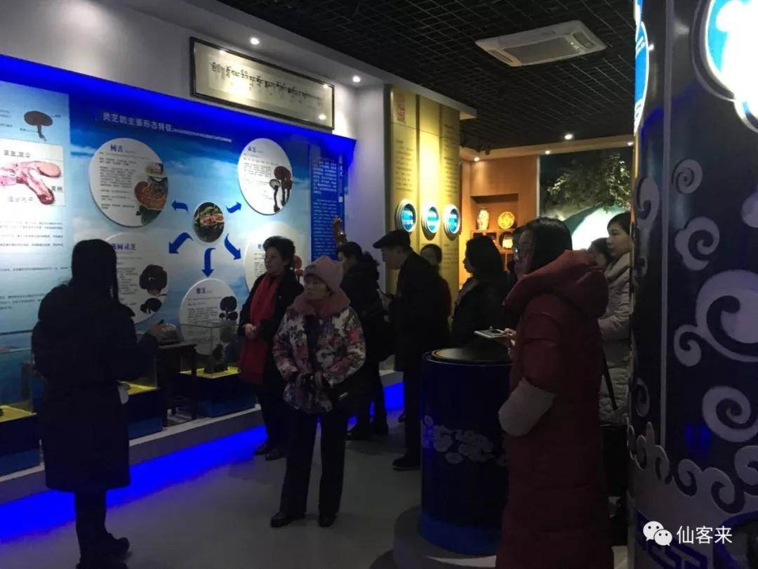 中國(guó)靈芝十大品牌|仙客來靈芝|仙客來靈芝破壁孢子粉|仙客來孢子油|仙客來靈芝飲片|仙客來破壁孢子粉|仙客來靈芝中藥飲片|馳名商標(biāo)|m.pureinfact.com| 中國(guó)靈芝十大品牌|仙客來靈芝|仙客來靈芝破壁孢子粉|仙客來孢子油|仙客來靈芝飲片|仙客來破壁孢子粉|仙客來靈芝中藥飲片|馳名商標(biāo)|m.pureinfact.com|