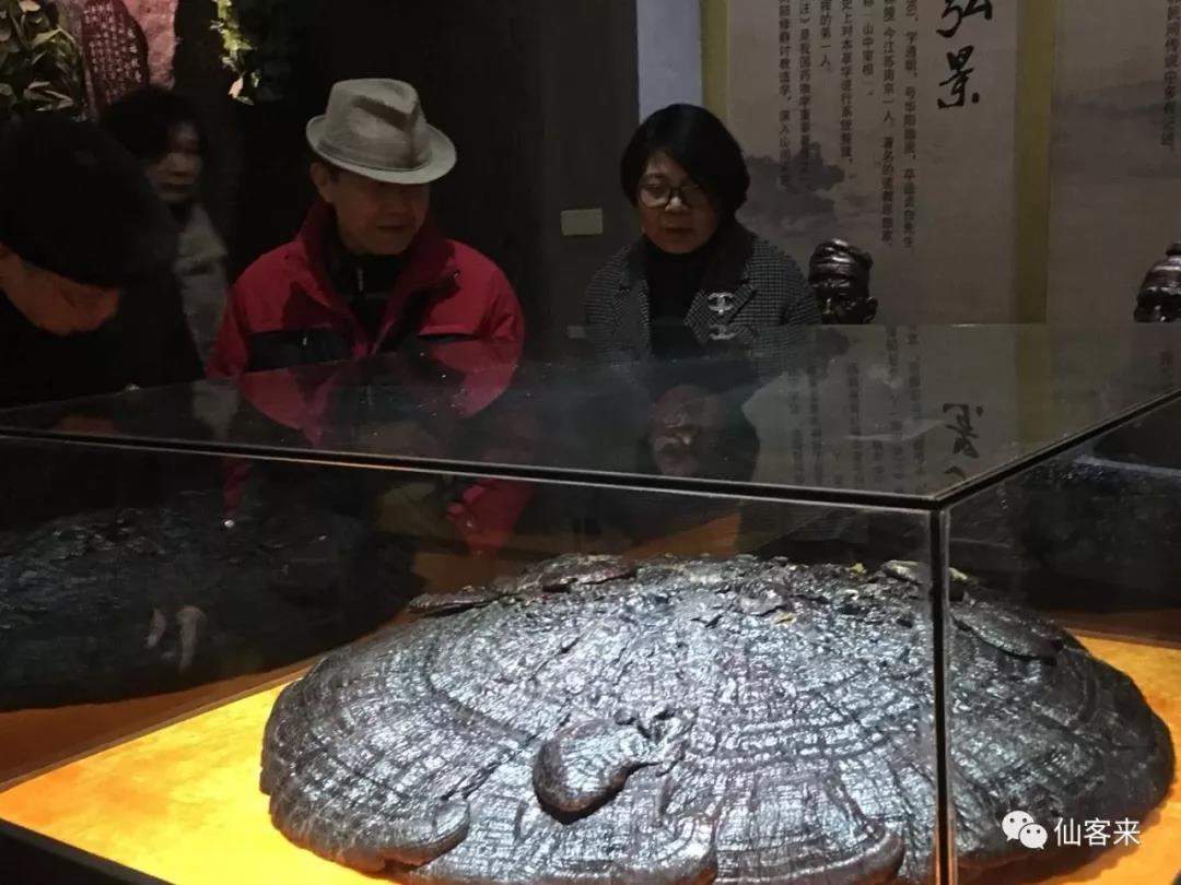 中國(guó)靈芝十大品牌|仙客來靈芝|仙客來靈芝破壁孢子粉|仙客來孢子油|仙客來靈芝飲片|仙客來破壁孢子粉|仙客來靈芝中藥飲片|馳名商標(biāo)|m.pureinfact.com| 中國(guó)靈芝十大品牌|仙客來靈芝|仙客來靈芝破壁孢子粉|仙客來孢子油|仙客來靈芝飲片|仙客來破壁孢子粉|仙客來靈芝中藥飲片|馳名商標(biāo)|m.pureinfact.com|